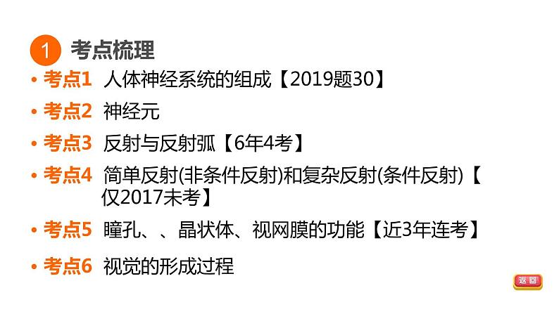 人教版中考生物一轮复习--第13课时 人体通过神经系统和内分泌系统调节生命活动(复习课件)第3页
