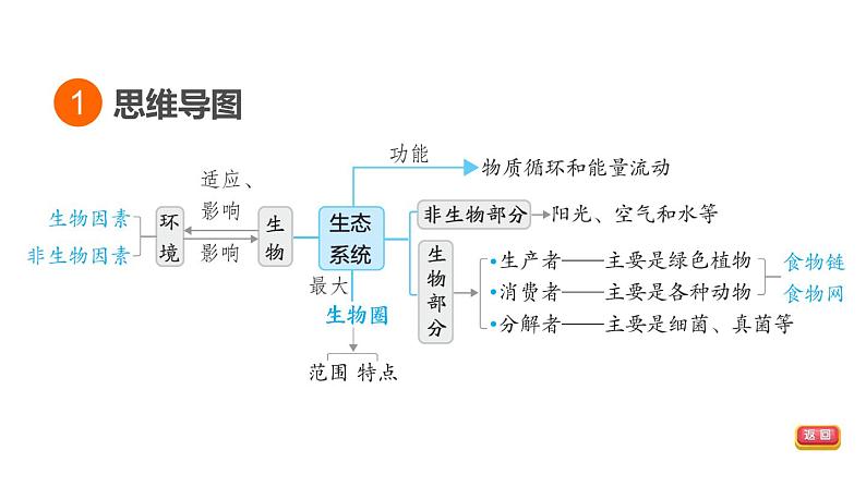 人教版中考生物一轮复习--第22课时 生物与环境(复习课件)第3页