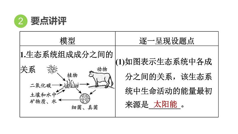 人教版中考生物一轮复习--第22课时 生物与环境(复习课件)第4页
