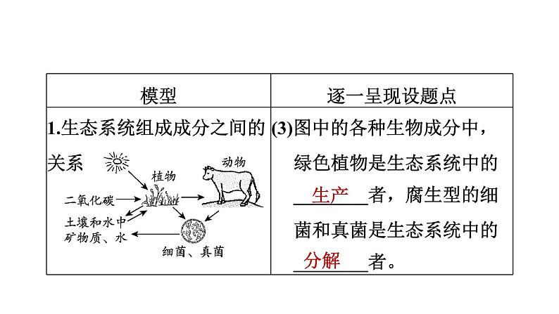 人教版中考生物一轮复习--第22课时 生物与环境(复习课件)第6页