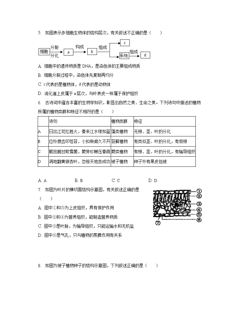 湖北省孝感市汉川市2022-2023学年七年级上学期期末生物试卷（含答案）02