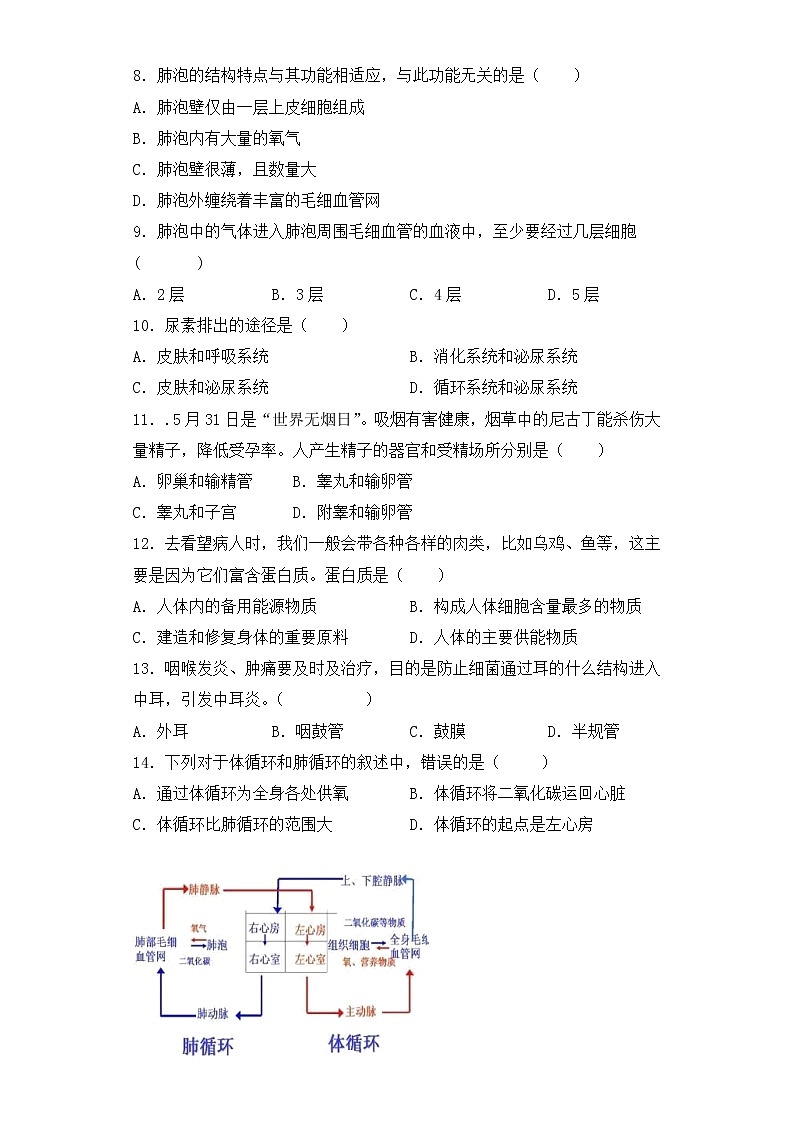 人教版生物七年级下册期末检测试卷 (三)02
