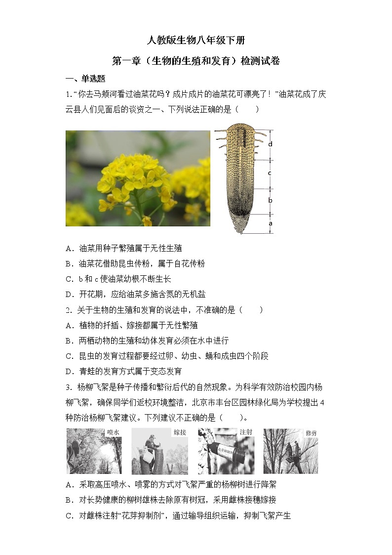 人教版生物八年级下册第一章(生物的生殖和发育)检测试卷01