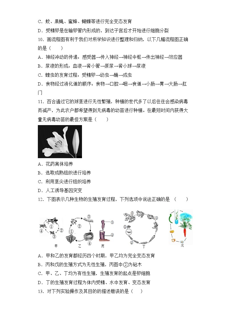 人教版生物八年级下册第一章（生物的生殖和发育）检测试卷03