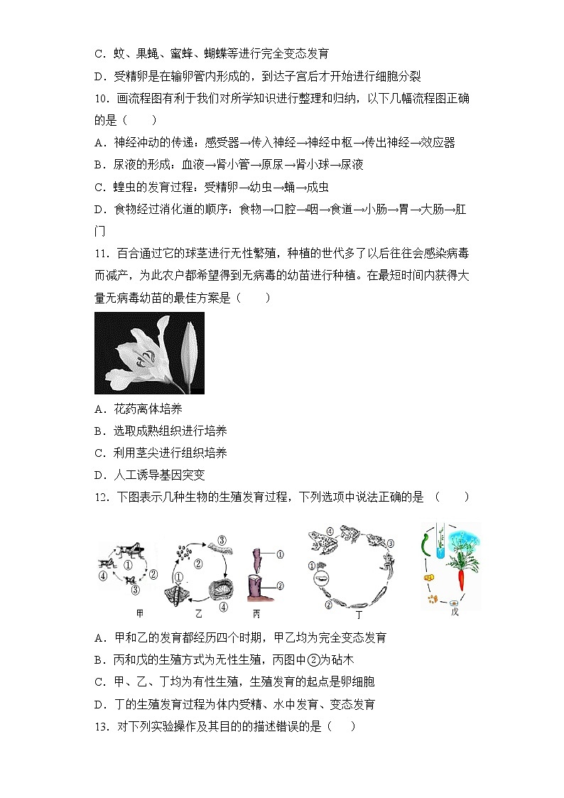 人教版生物八年级下册第一章(生物的生殖和发育)检测试卷03