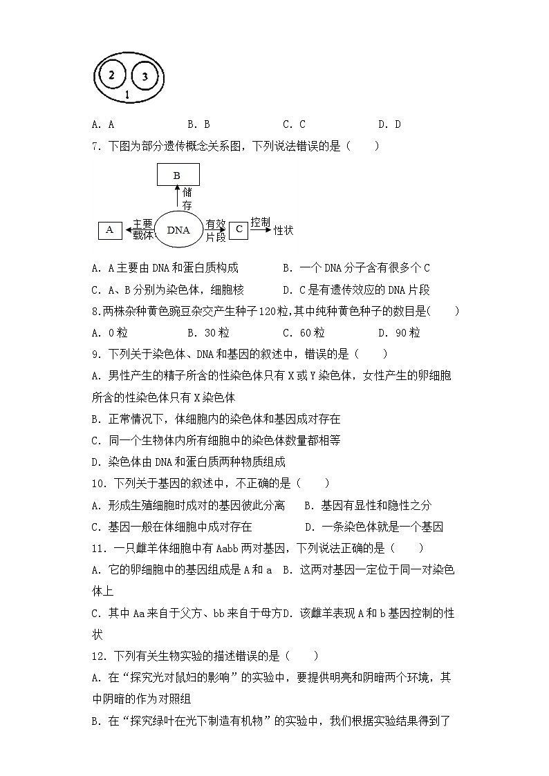 人教版生物八年级下册第二章(生物的遗传和变异)检测试卷02