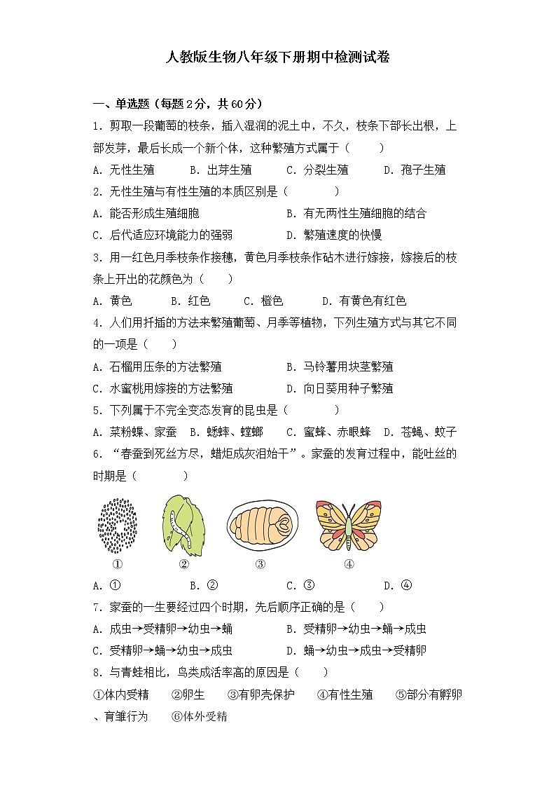 人教版生物八年级下册期中检测试卷第1页