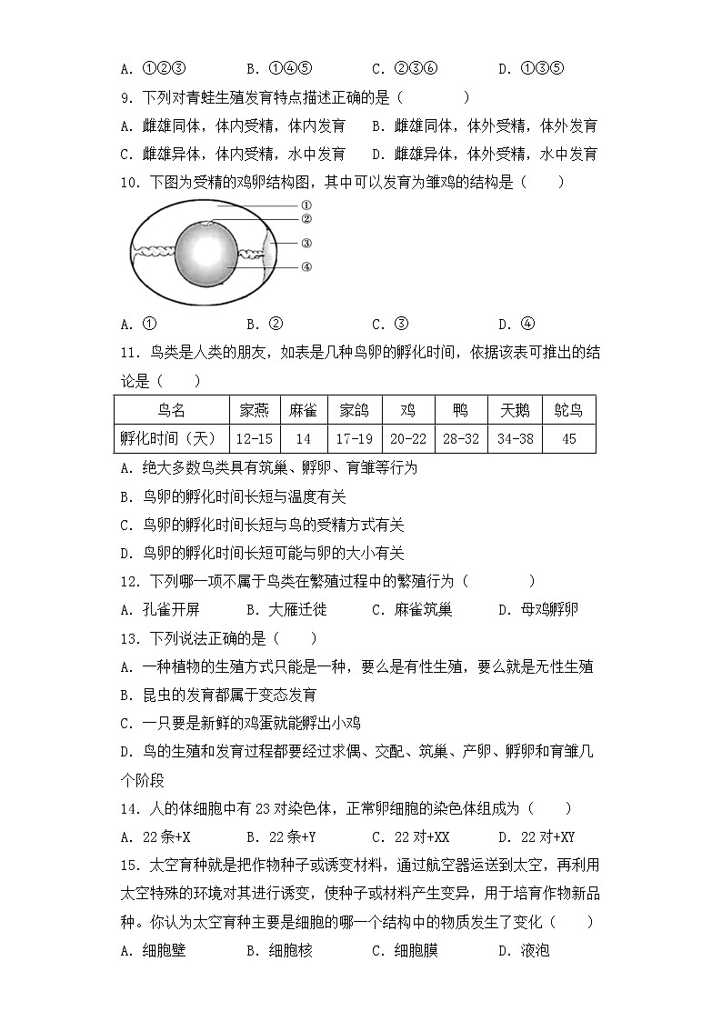 人教版生物八年级下册期中检测试卷第2页