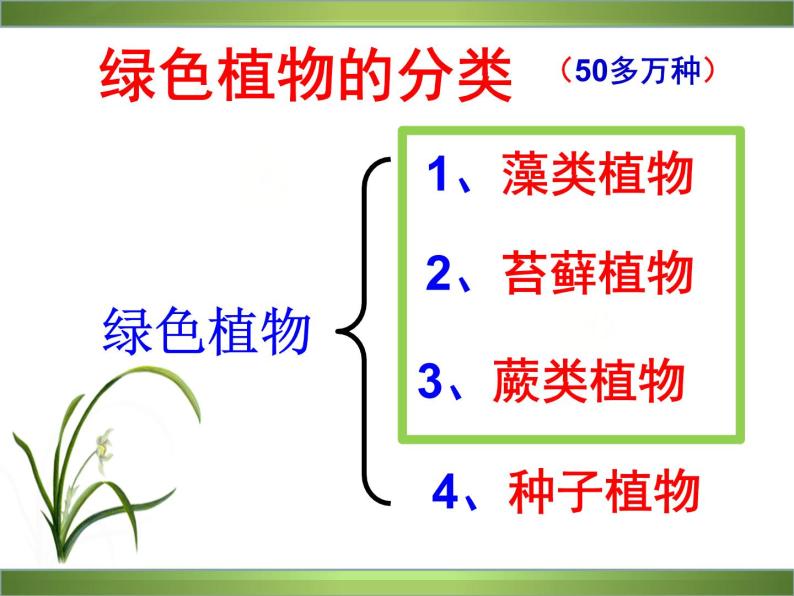 藻类、苔藓和蕨类植物课件PPT03