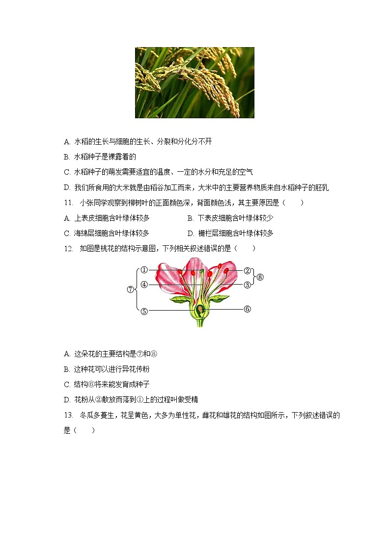 2022-2023学年湖北省十堰市郧西县七年级(上)期末生物试卷(含解析)03
