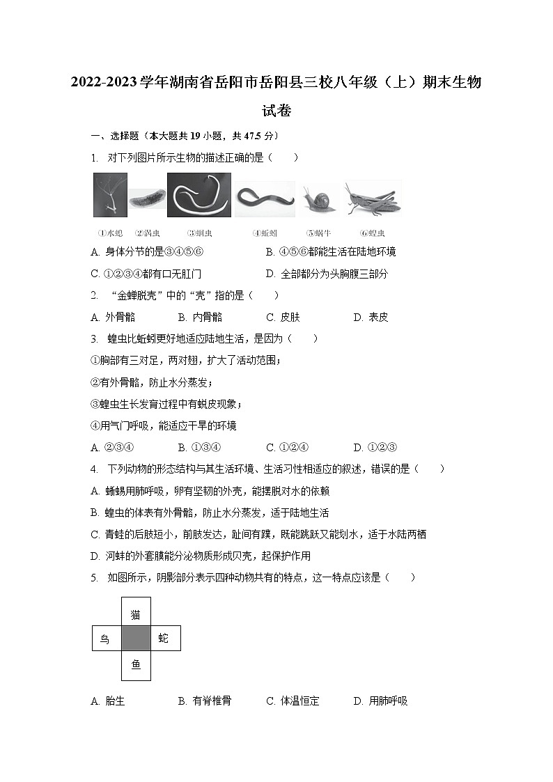 2022-2023学年湖南省岳阳市岳阳县三校八年级(上)期末生物试卷(含解析)第1页