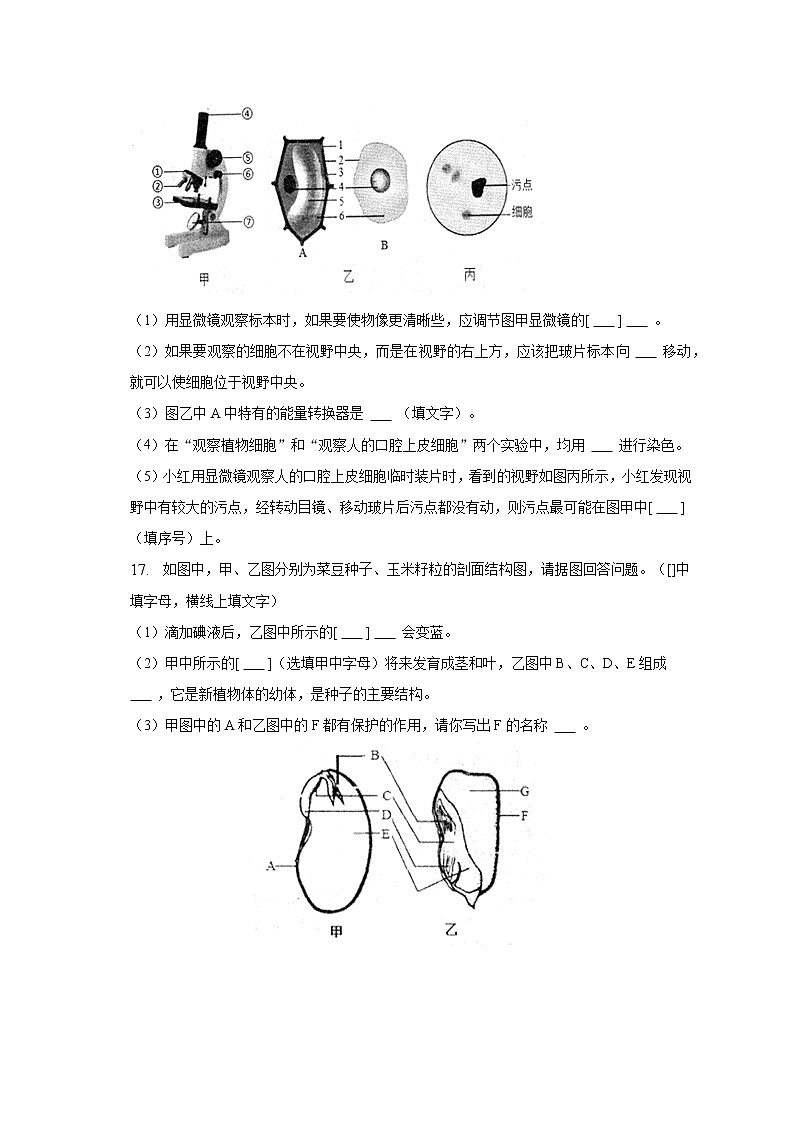 2022-2023学年广西防城港市七年级(上)期末生物试卷(含解析)第3页