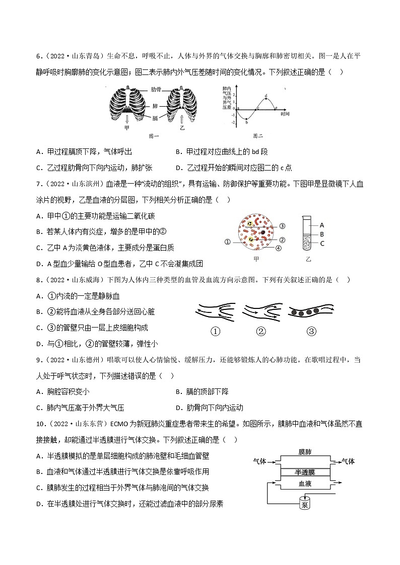 第十章 人体内的物质运输和能量供给(培优卷)——2022-2023学年七年级下册生物单元卷(苏教版)02