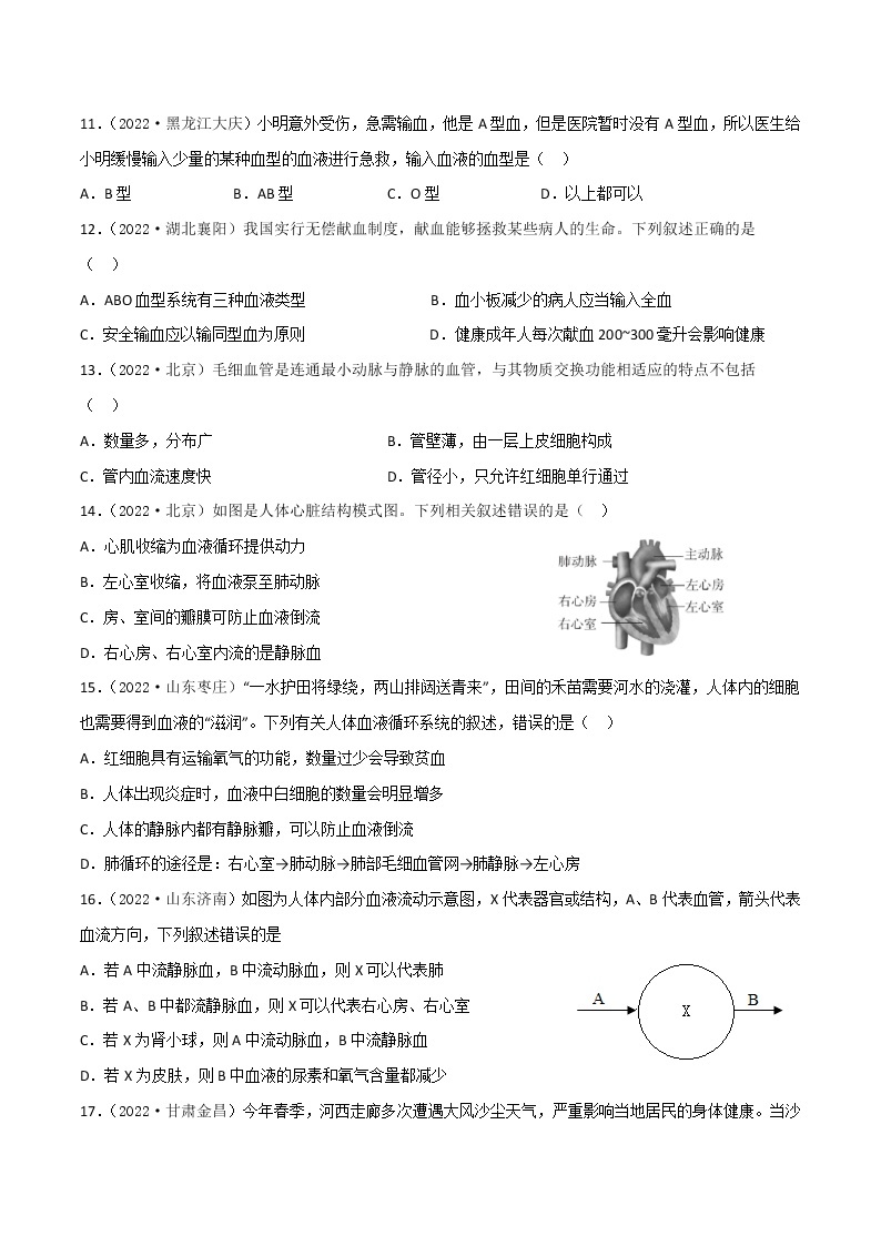 第十章 人体内的物质运输和能量供给（培优卷）——2022-2023学年七年级下册生物单元卷（苏教版）03