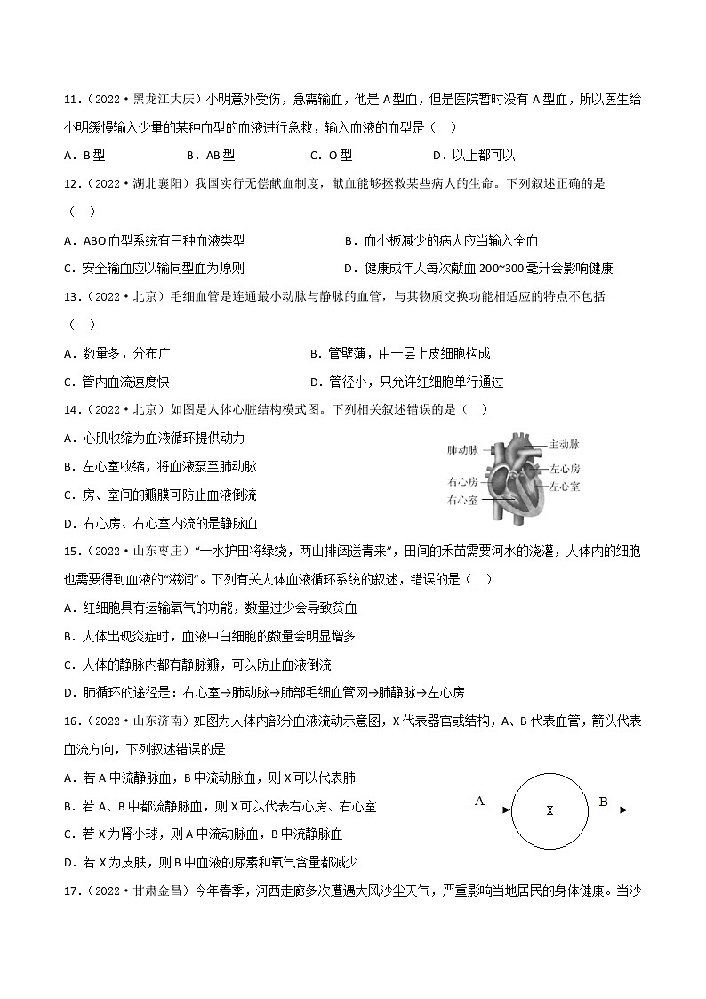第十章 人体内的物质运输和能量供给(培优卷)——2022-2023学年七年级下册生物单元卷(苏教版)03