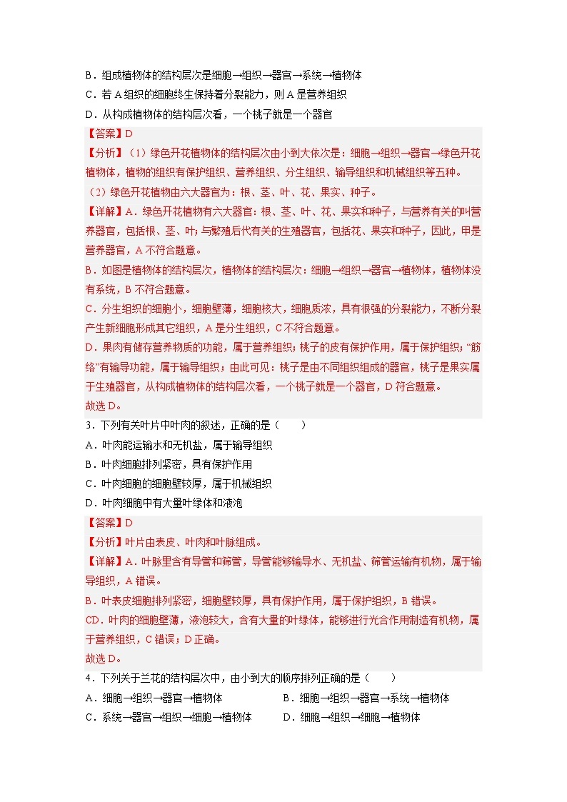 第九章 生物体有相似的结构层次（基础卷）——2022-2023学年七年级下册生物单元卷（苏科版）（原卷版+解析版）03