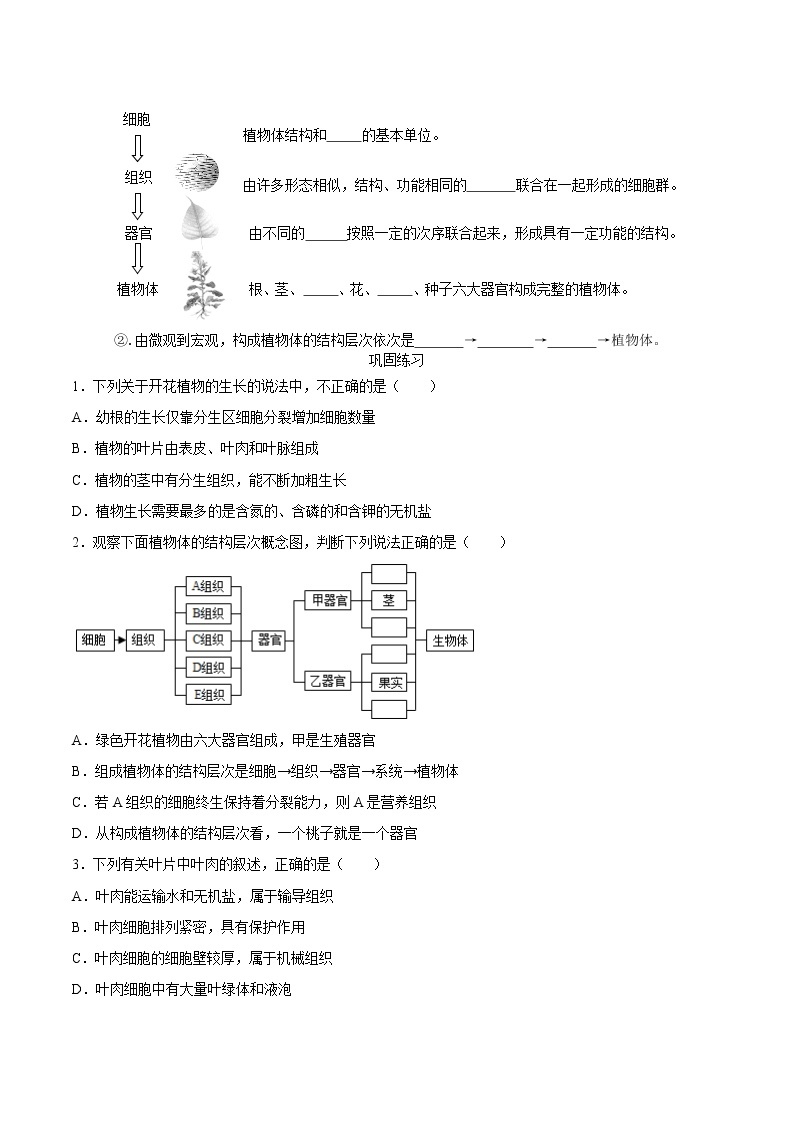 第九章 生物体有相似的结构层次（基础卷）——2022-2023学年七年级下册生物单元卷（苏科版）（原卷版+解析版）02