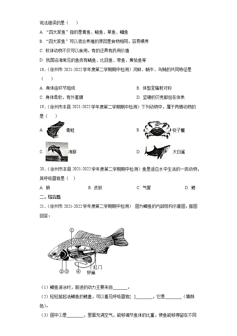 第十章 水中的生物(培优卷)(原卷版)第3页