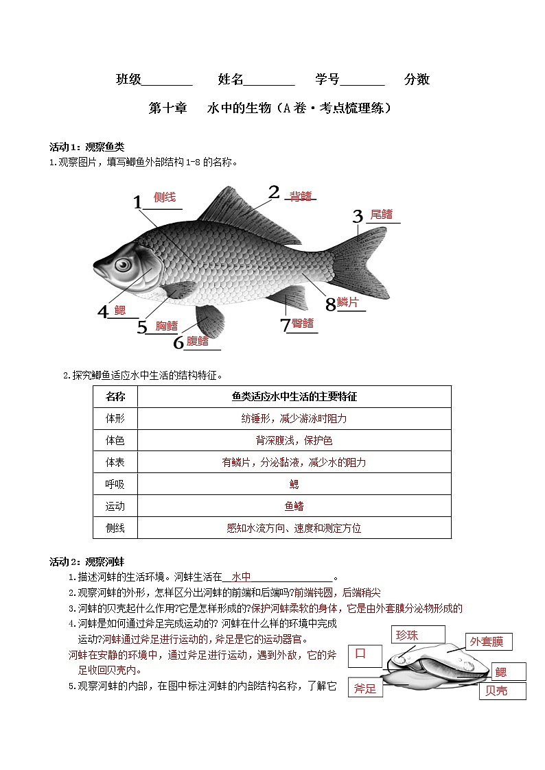 第十章 水中的生物(基础卷)(解析版)第1页