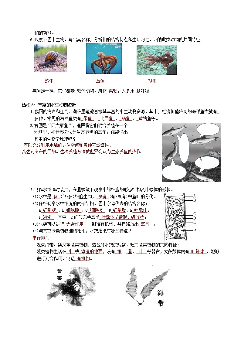 第十章 水中的生物(基础卷)(解析版)第2页