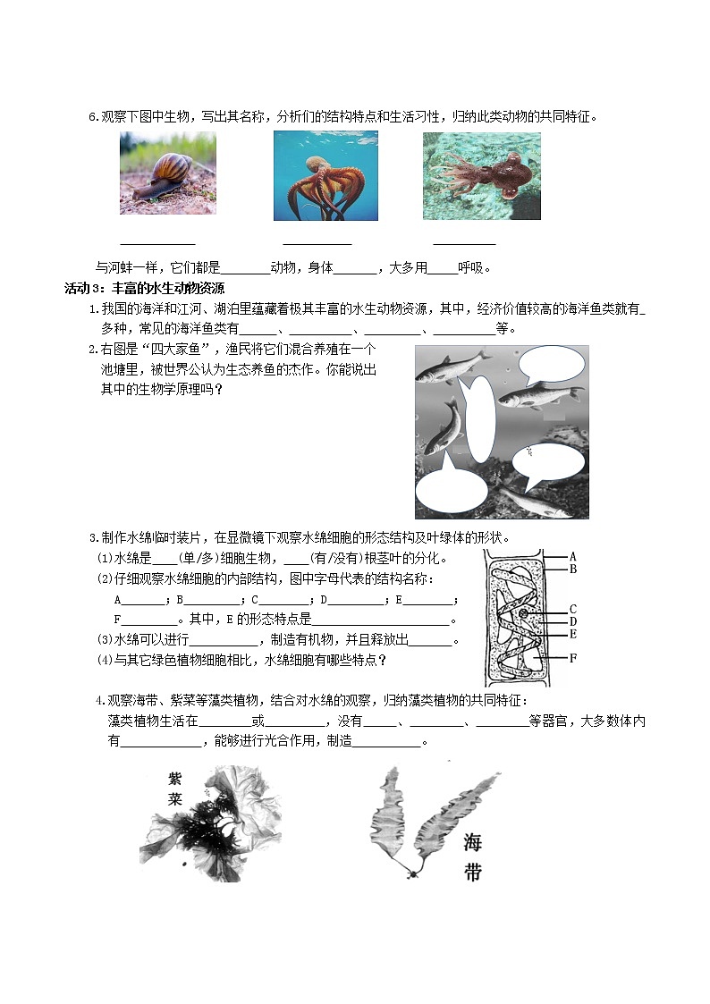 第十章 水中的生物(基础卷)(原卷版)第2页