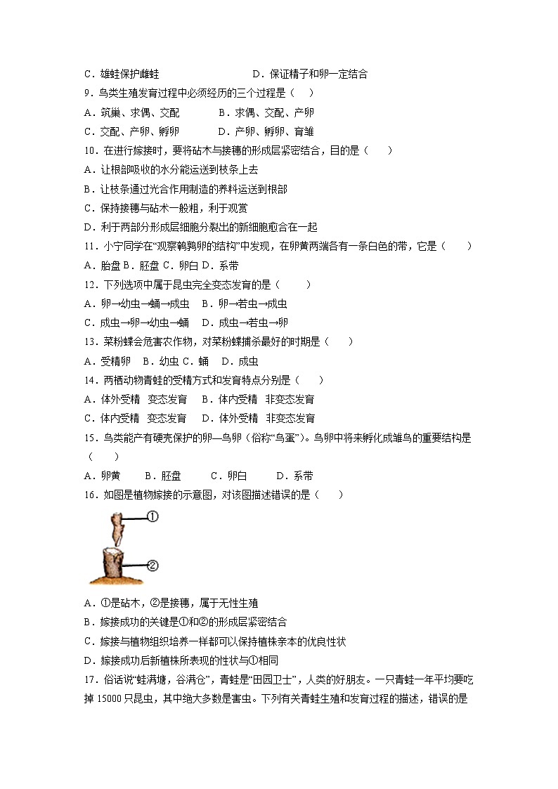 第1章 生物的生殖和发育(基础卷)——2022-2023学年八年级下册生物单元卷(人教版)(原卷版+解析版)02