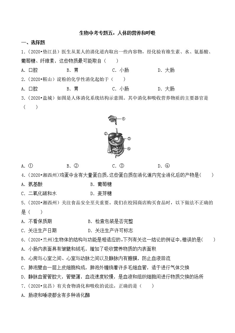 专题五:人体的营养和呼吸 (全国2020----2022年生物中考真题训练)第1页