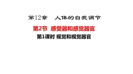 第四单元第十二章第二节视觉和视觉器官  课件  北师大版生物七年级下册