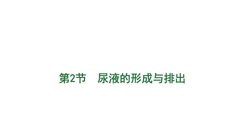 第四单元第十一章第二节 尿液的形成与排出 课件 北师大版生物七年级下册01