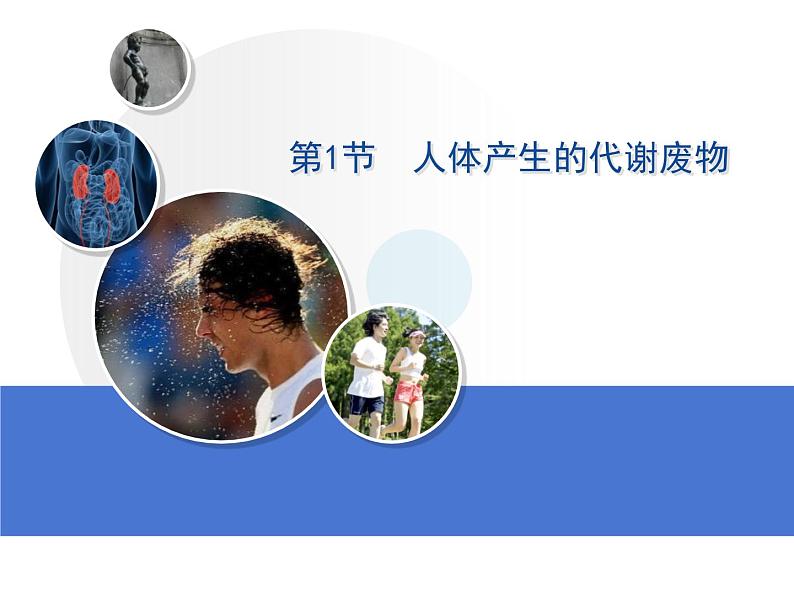 第四单元第十一章第一节 人体产生的代谢废物 课件 北师大版生物七年级下册第1页