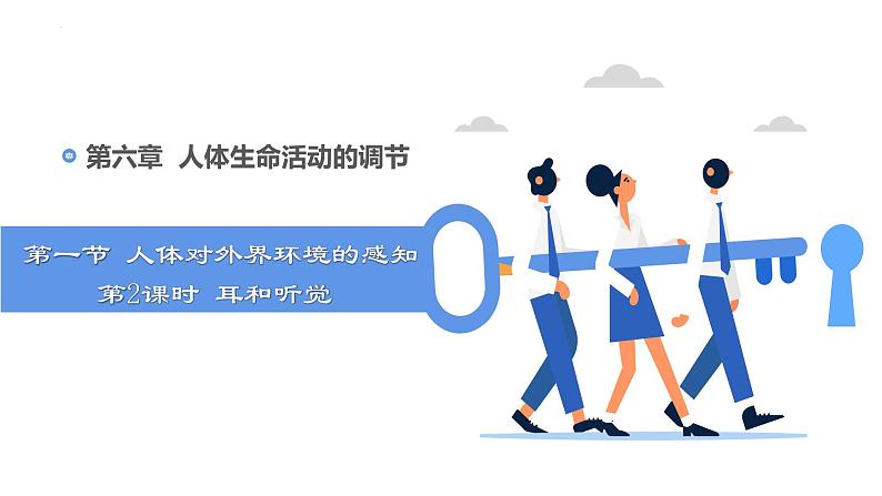 第四单元第六章第二节神经系统的组成 课件 人教版生物七年级下册04