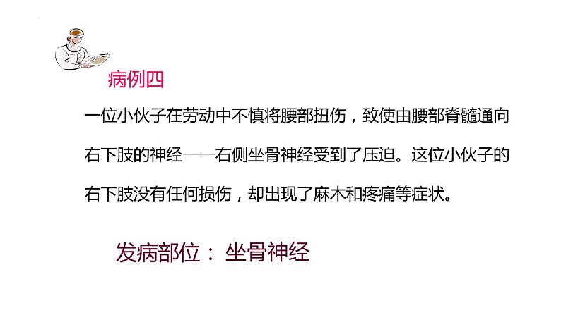 第四单元第六章第二节神经系统的组成 课件 人教版生物七年级下册08