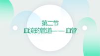 人教版 (新课标)七年级下册第四单元 生物圈中的人第四章 人体内物质的运输第二节 血流的管道──血管完美版ppt课件