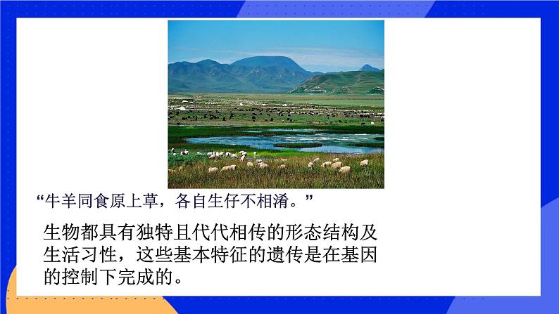 性状的遗传_课程导入第1页