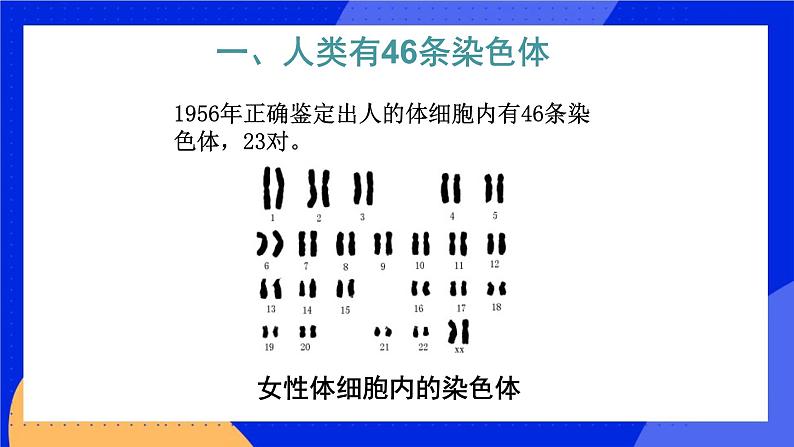 第十一章 第三节 人类的遗传 课件第2页