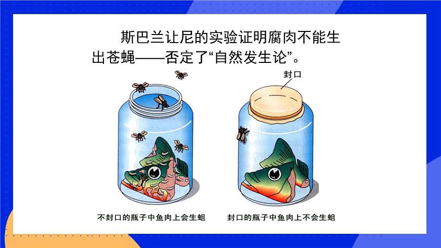 第十二章 第一節(jié) 生命的起源 課件第7頁