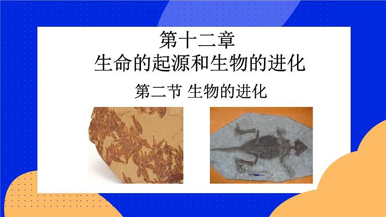 第十二章 第二节生物的进化 课件第1页