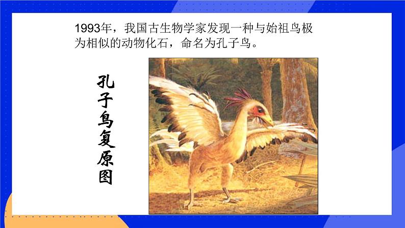 第十二章 第二节生物的进化 课件第7页