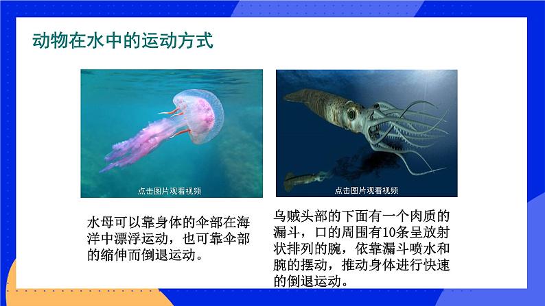 15.1 动物运动的方式 课件+练习+素材 北师大版八年级生物上册08