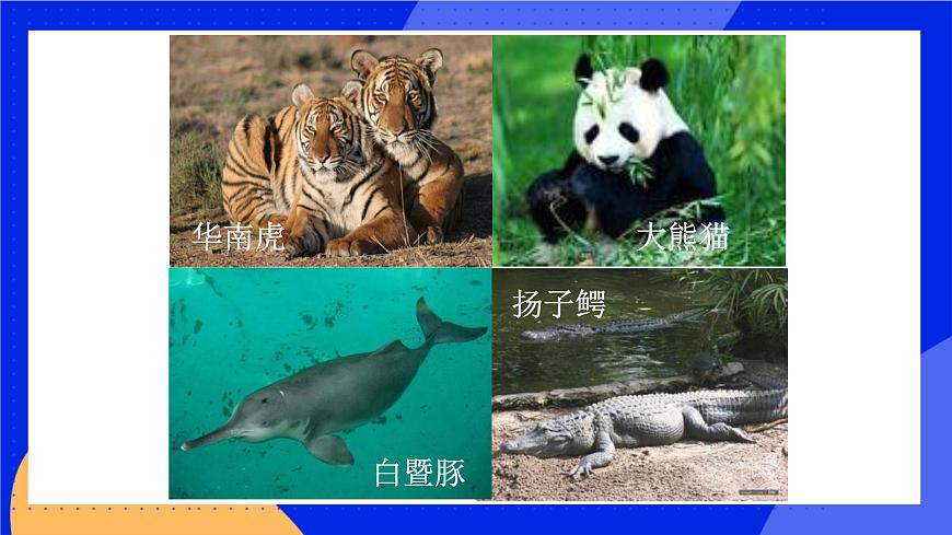 17.3 我國動物資源的保護(hù) 課件 北師大版八年級生物上冊第8頁