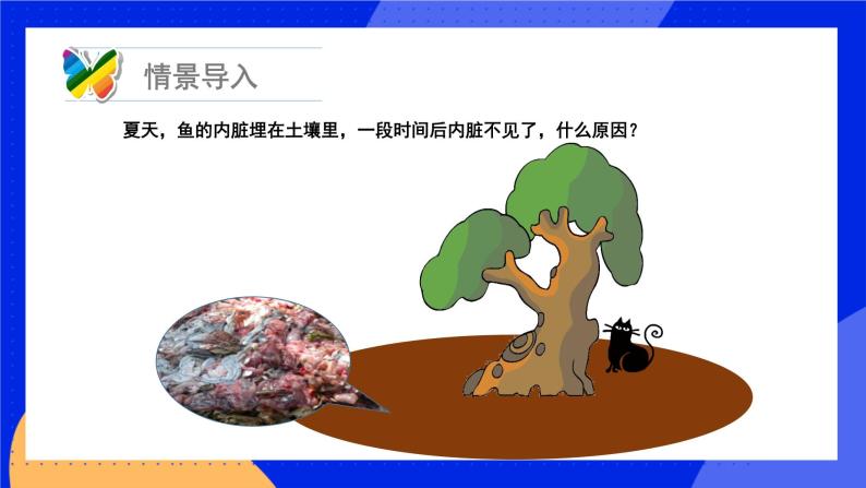 18.1 微生物在生物圈中的作用 课件+练习+素材 北师大版八年级生物上册03