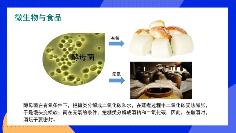 18.2 微生物与人类的关系 课件+练习+素材 北师大版八年级生物上册05