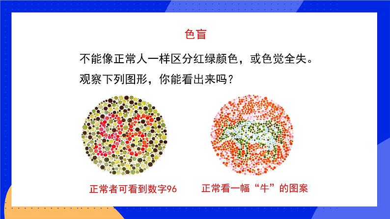 20.6 遗传病和人类健康 课件+练习+素材 北师大版八年级生物上册06