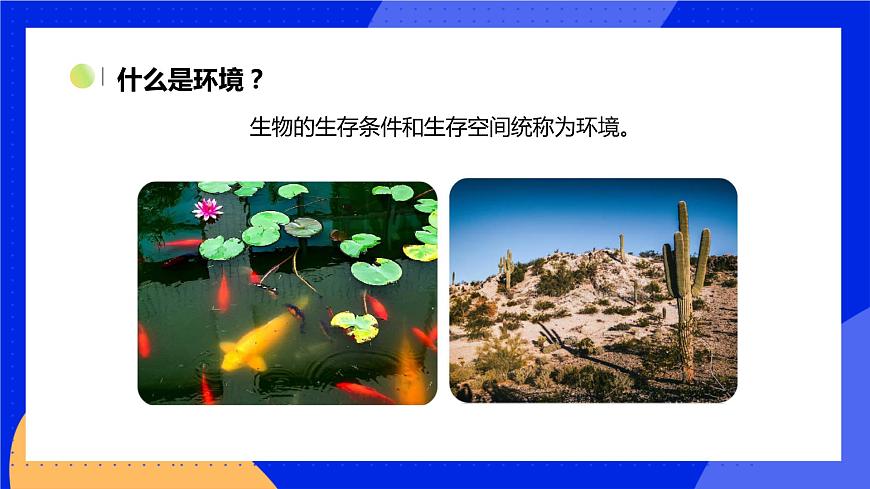 1.1.2 生物與環(huán)境的相互影響 課件 北師大版七年級生物上冊第4頁