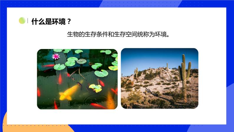 1.1.2 生物与环境的相互影响 课件 北师大版七年级生物上册04