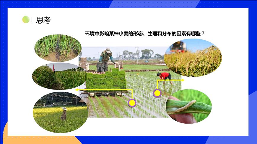 1.1.2 生物與環(huán)境的相互影響 課件 北師大版七年級生物上冊第6頁