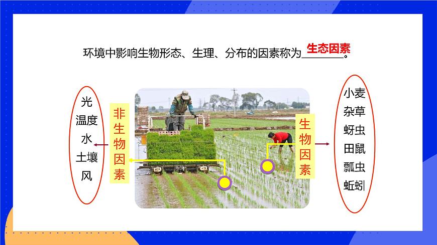 1.1.2 生物與環(huán)境的相互影響 課件 北師大版七年級生物上冊第7頁