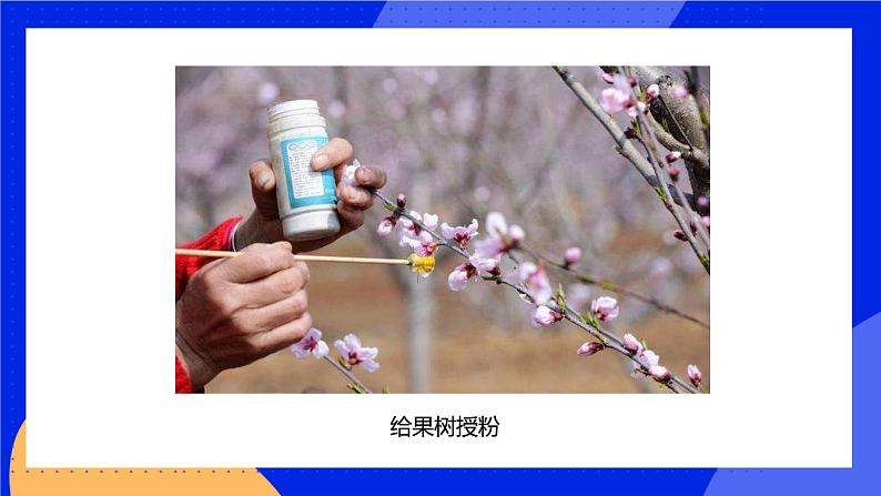 1.2.1 生物学是探索生命的科学 课件 北师大版七年级生物上册05