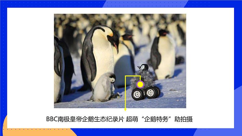 1.2.1 生物学是探索生命的科学 课件 北师大版七年级生物上册08