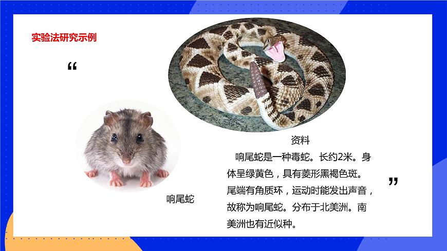 1.2.2 生物學(xué)研究的基本方法 課件 北師大版七年級(jí)生物上冊(cè)第5頁(yè)